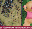 Biggest Teddy Bear in the World Guinness