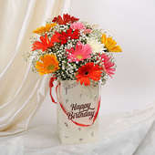 Mixed Color Gerberas in Birthday Box in Zoomed View