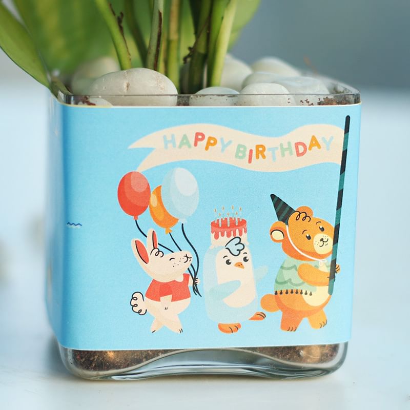 Money Plant - Cute Birthday Gift