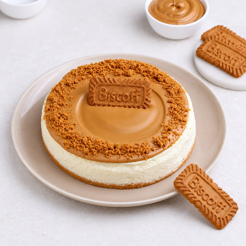 Biscoff Cheesecake Symphony