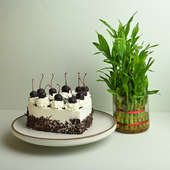 Black Forest Heart Cake With Bamboo Plant