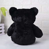 Blissful Black Soft Teddy