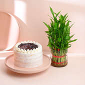 Blissful Blueberry Cake N Lucky Bamboo Combo