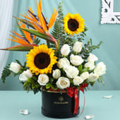 Blooming Blend of Love and Light