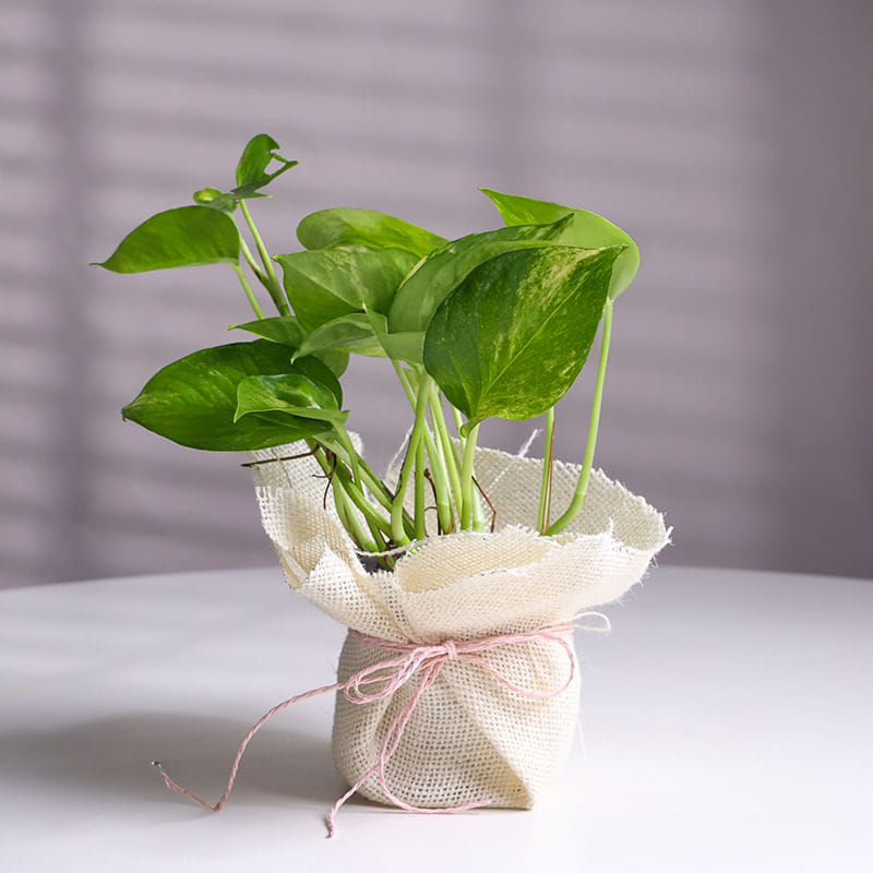 Blooming Blessings Treasure Basket