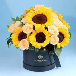 Blooms Wrapped In Sunrise Hues