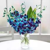 Buy Blue Dendrobium Orchid Bunch for Valentine