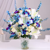 Blue N White Lily Elegance