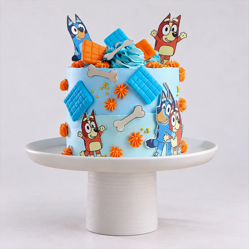 Bluey Playtime Cake
