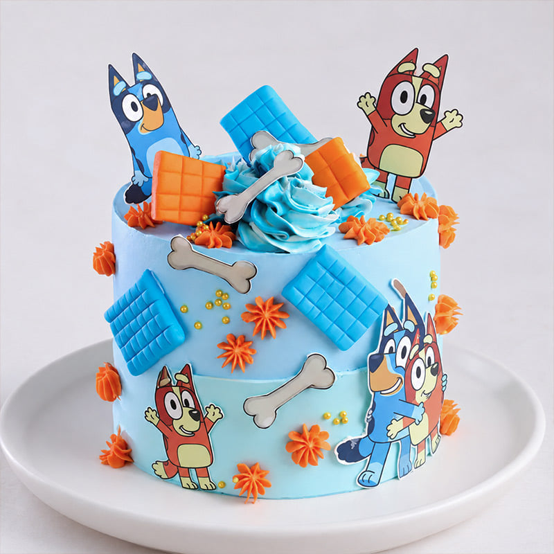 Bluey Playtime Cake