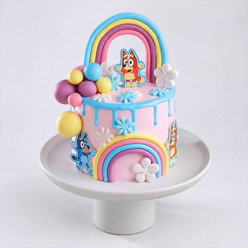 Bluey Rainbow Theme Cake