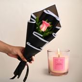 Blushing Pink Rose With Scented Candle