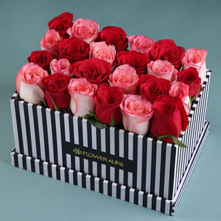 Blushing Roses In Midnight Elegance