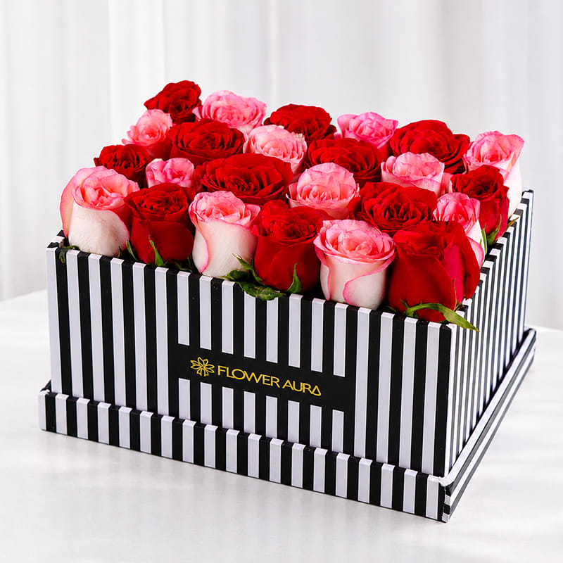 Blushing Roses In Midnight Elegance