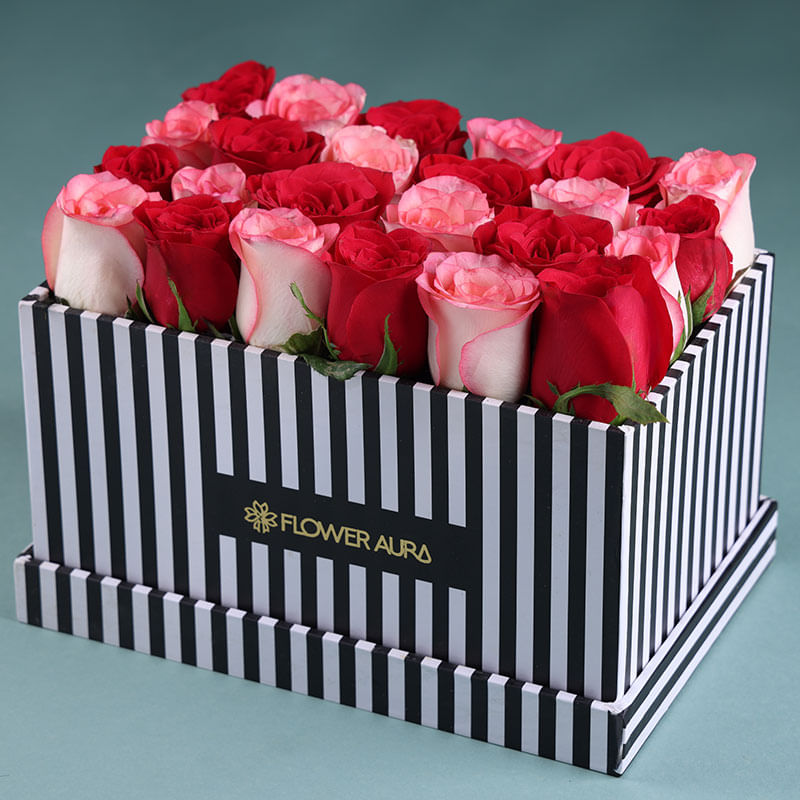Blushing Roses In Midnight Elegance
