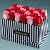 Blushing Roses In Midnight Elegance