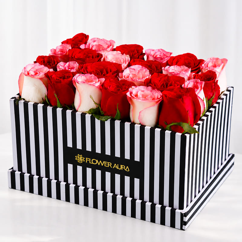 Blushing Roses In Midnight Elegance