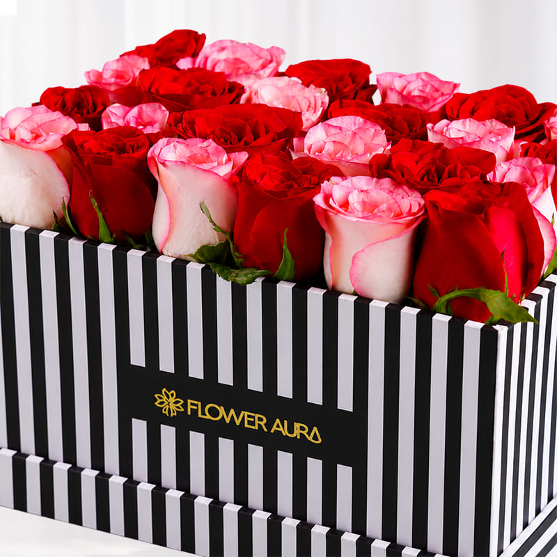 Blushing Roses In Midnight Elegance
