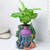 Blushing Syngonium Plant With Stand Online