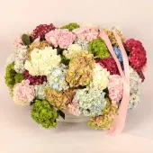 Symphony Of Hydrangea Hues