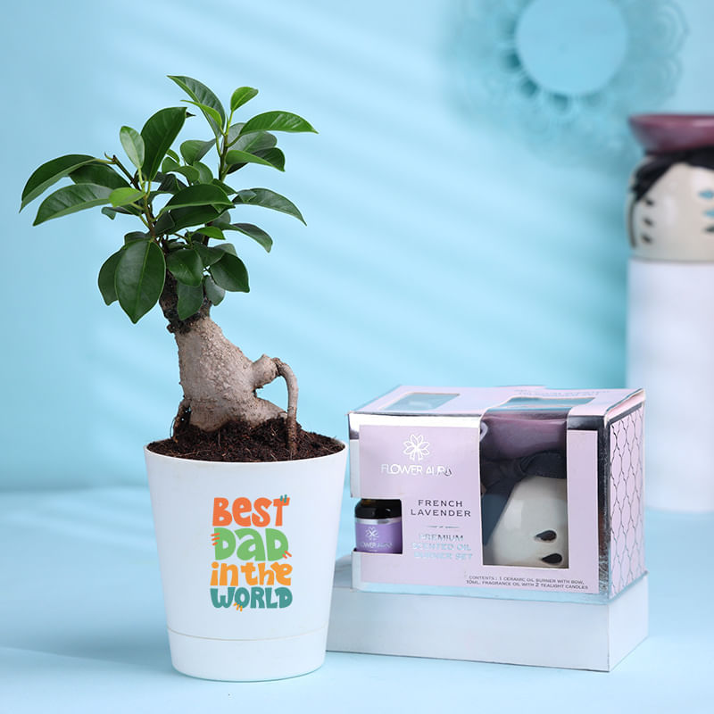 Bonsai Plant In Love You Papa Pot With Diffuser