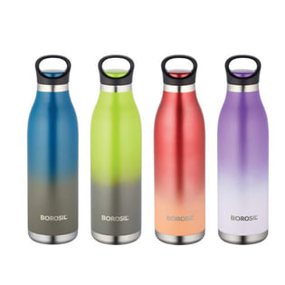 Premium Borosil Stainless Steel Bottle