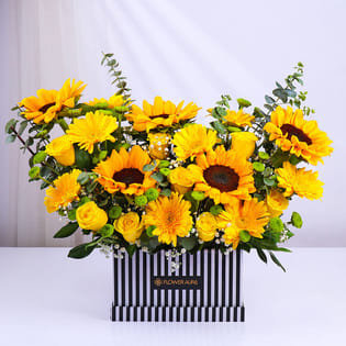 Box Full Of Sunshine