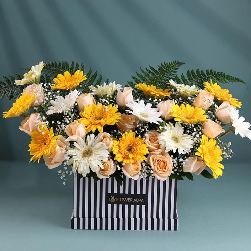 Product Image Video