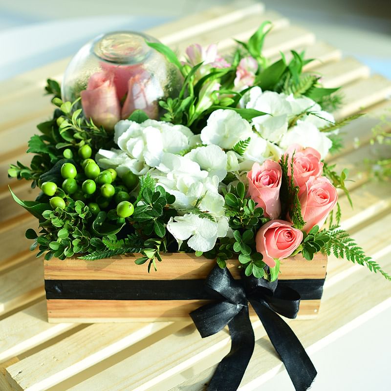 A Gift Box of Pink and White Aromas