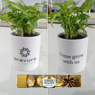 Bravura New Joinee Product