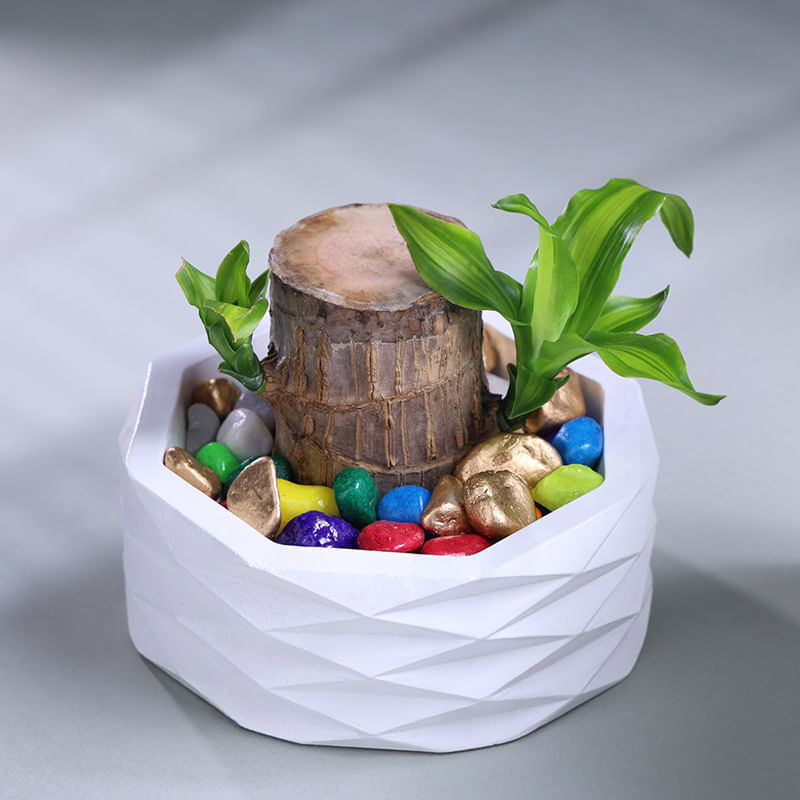Product Image Video