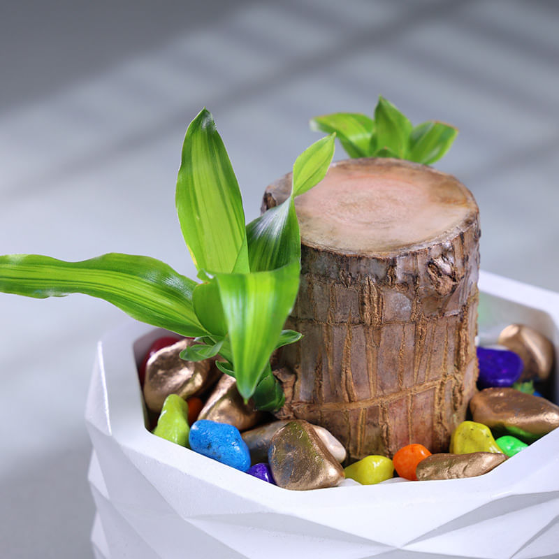 Product Image Video