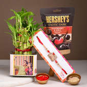 Send Brother Rakhi N Choco With Lucky Bamboo Online