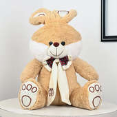 Brown Bunny Soft Toy