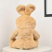 Back View of Brown Bunny Soft Toy 