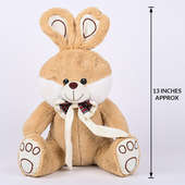 Measurement of Brown Bunny Soft Toy 