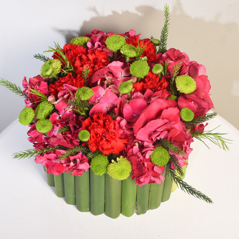 Red Carnation Love Arrangements