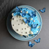 Top View of Butterfly Cake