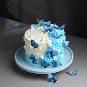 Butterfly Cake