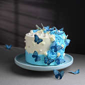 Side View of Butterfly Cake