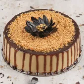 Caramel Drip Butterscotch Cake