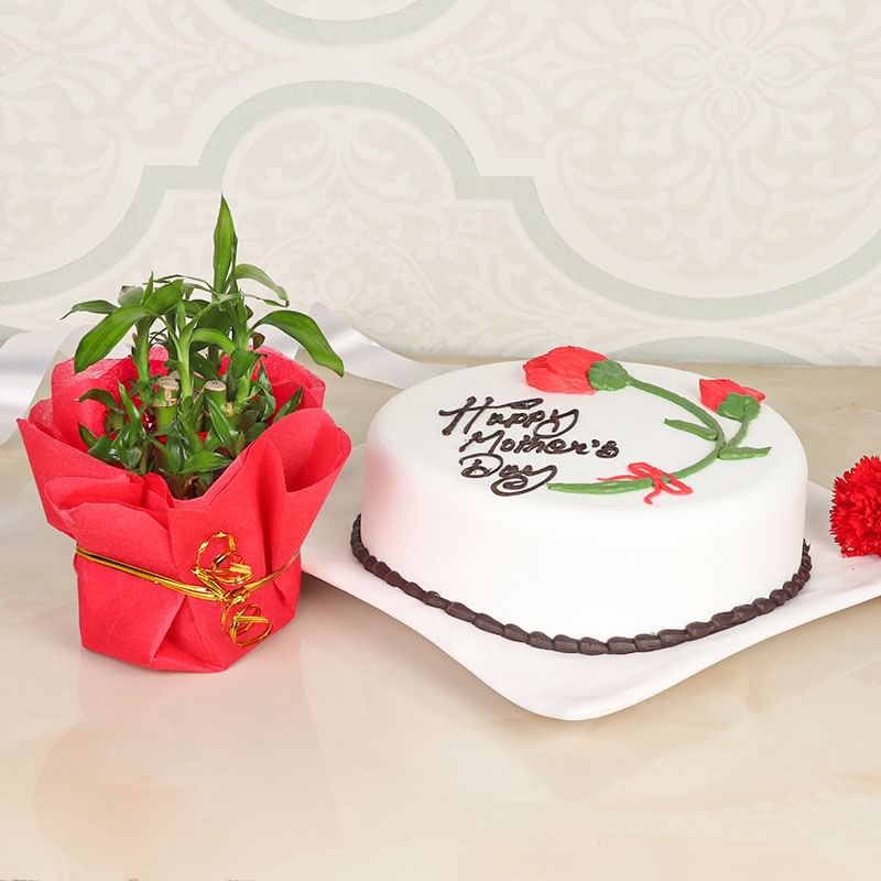 Cake N Bamboo