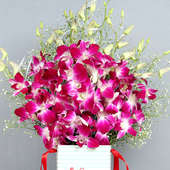 Cake N Orchids Combo - Rakhi Gifts for Sister Online