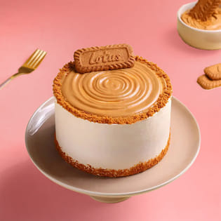 Choco Bliss Biscoff Cake