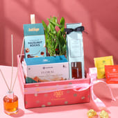 Calming Essentials Gift Hamper
