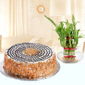 Caramelized Happiness - Combo of butterscotch cake and lucky bamboo plant