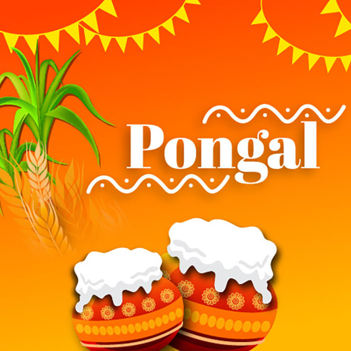 Happy Pongal Quotes