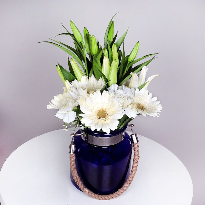 Carnation Buds And Blooms