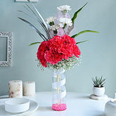 Online Shopping of Carnation Flowers