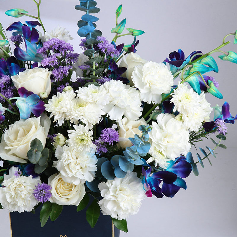 Celestial Blooms Whispering Silent Blues